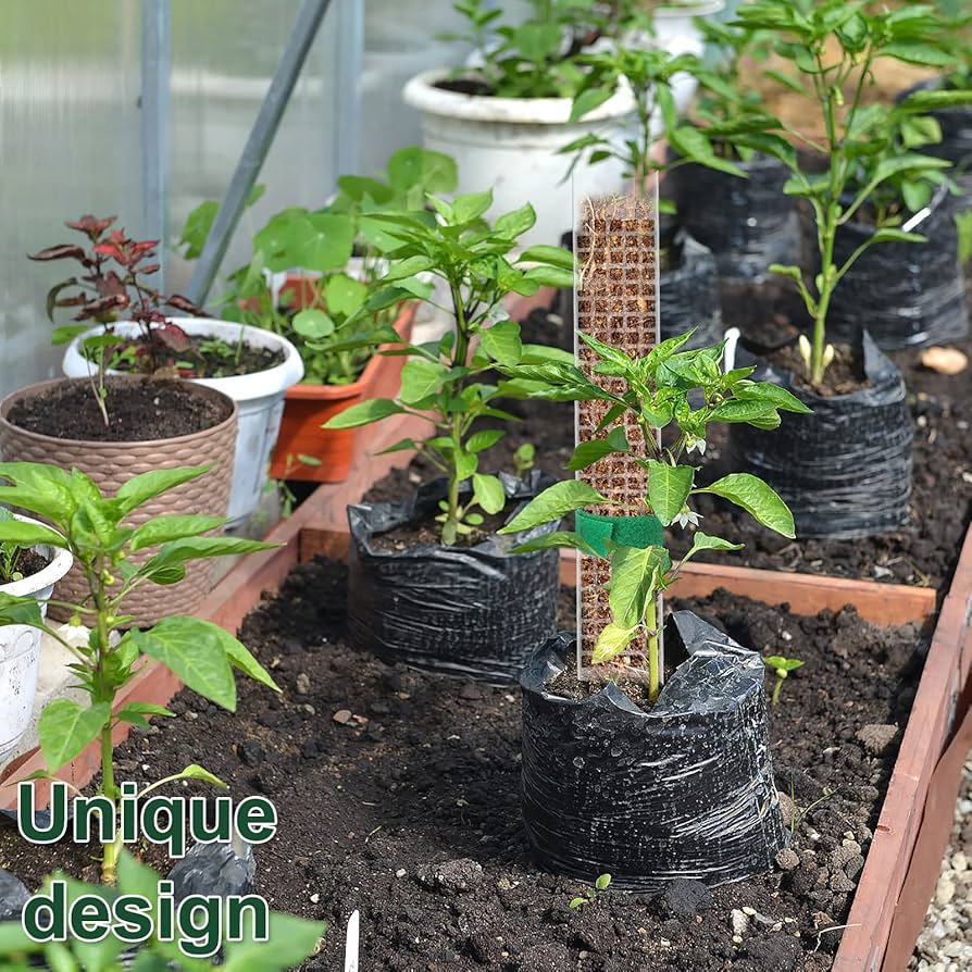 moss stick　sw58 Amazon.com : Joyhalo 26.4 Inch Moss Pole Monstera Plant